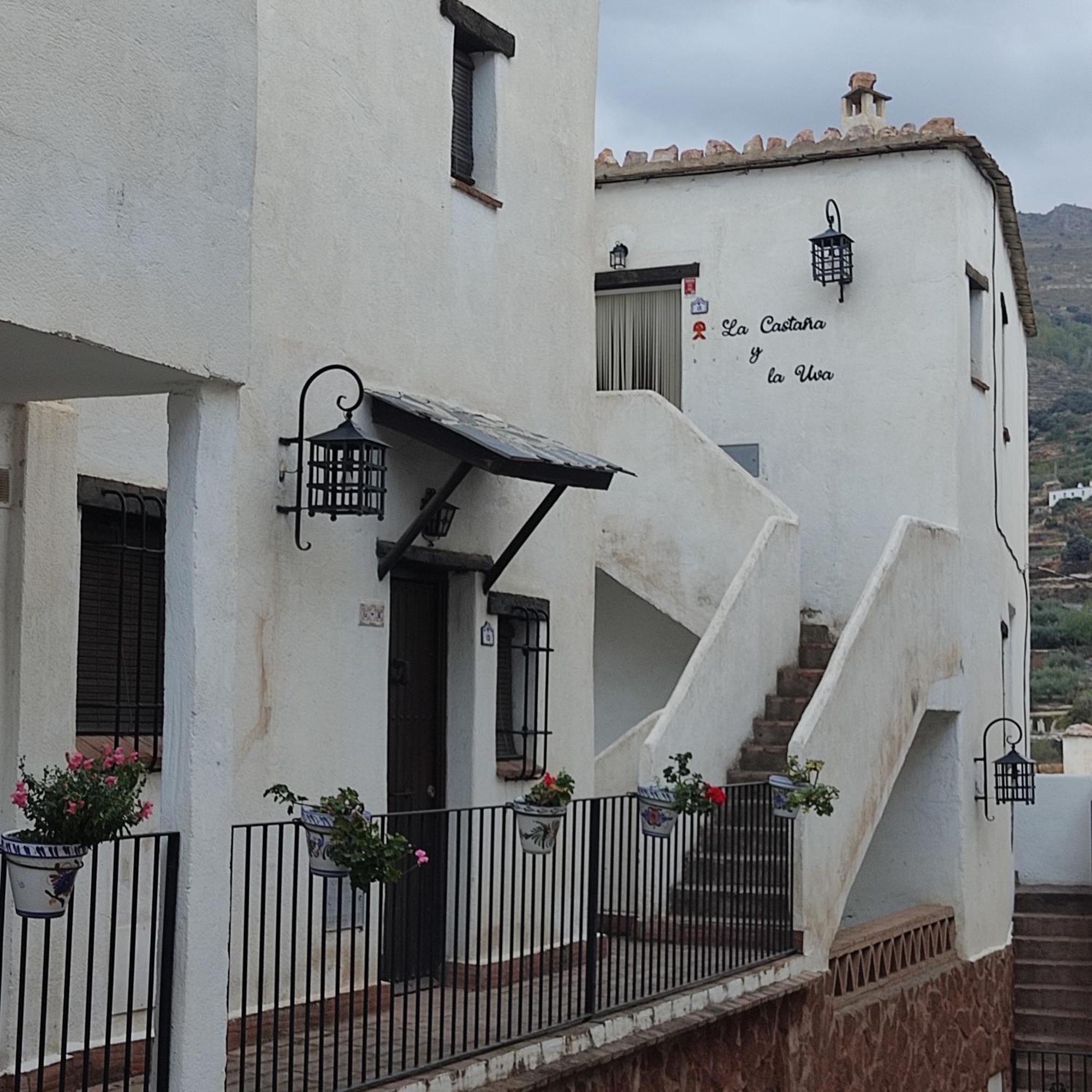 La Castana Y La Uva Apartment Ohanes Bagian luar foto
